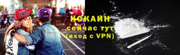 кокс Арсеньев