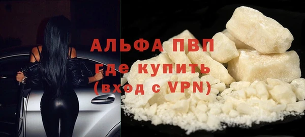 кокс Арсеньев