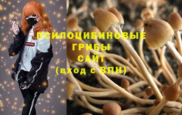 кокс Арсеньев