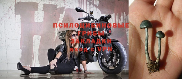 кокс Арсеньев