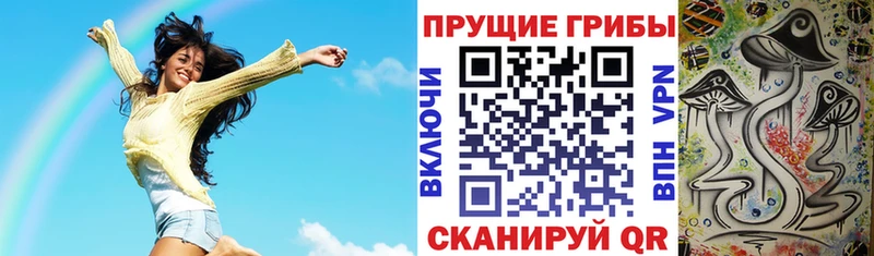 ссылка на мегу рабочий сайт купить закладку Ленинск Псилоцибиновые грибы MAGIC MUSHROOMS